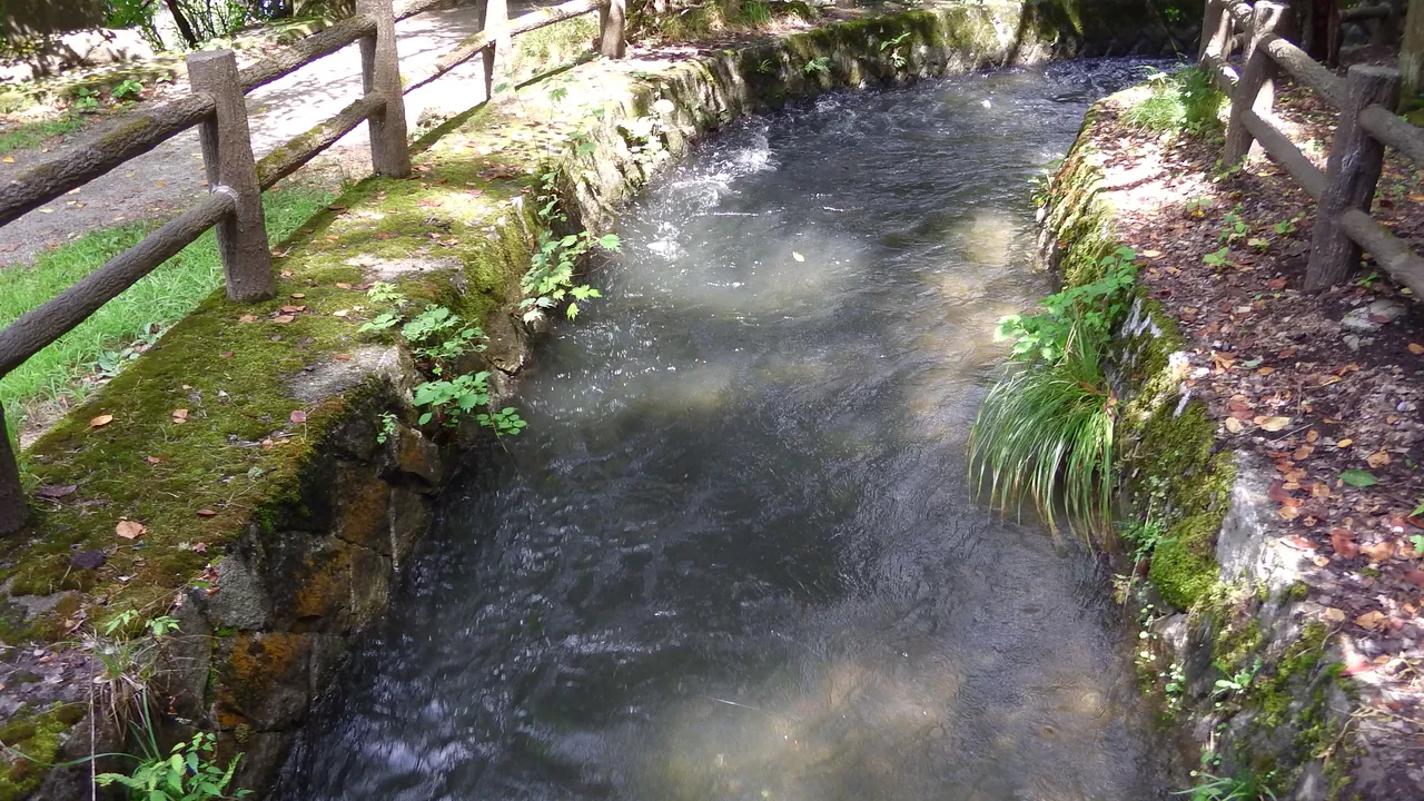 一箕地区のきれいな川